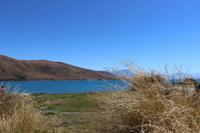 Blick auf den Lake Tekapo