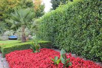 Christchurch - Botanischer Garten 