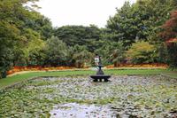 Christchurch - Botanischer Garten