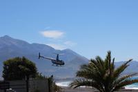 Whale Watch mit Helicopter