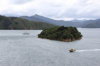 Auf der Fähre nach Wellington