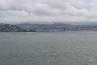 Blick auf Wellington 