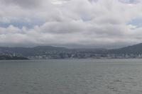 Blick auf Wellington