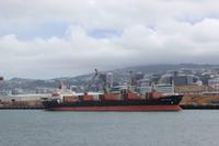 Im Hafen von Wellington