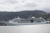 Kreuzfahrtschiff im Hafen von Wellington