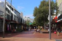 Cuba Street - Wellington 
