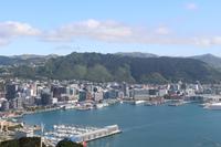 Blick auf Wellington 