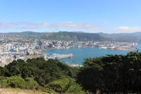 Blick auf Wellington