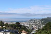 Blick auf Wellington