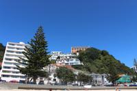 Blick auf Wellington vom Oriental Bay