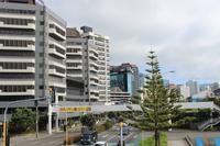 Blick auf Wellington