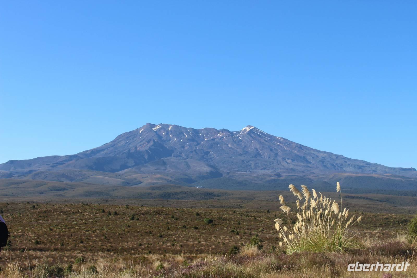 Blick auf das Ruapehu-Massiv 