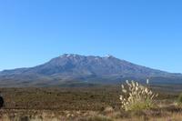 Blick auf das Ruapehu-Massiv 