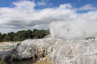 Geysir Pohutu 