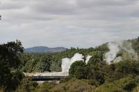 Blick auf Geysir Pohutu