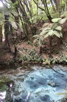 Rundgang durch Anlage Matai 