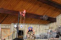 Schaf-Show im Agrodom in Rotorua