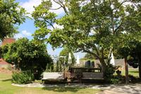 Garten der Rosenvale-Farm