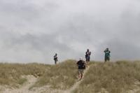 Dünen der Bucht Uretiti