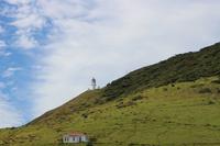 Leuchtturm auf der Bootsfahrt - Bay of Islands