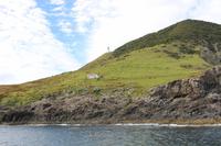 Leuchtturm auf der Bootsfahrt - Bay of Islands