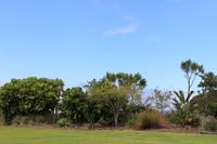 Aufenthalt auf der Insel Urupukapuka