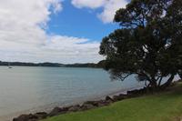 Paihia 