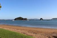 Strand von Paihia am Morgen