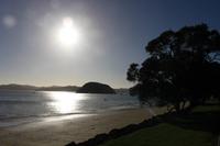 Paihia am Morgen