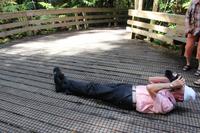 Beim Fotografieren des Tane Mahuta