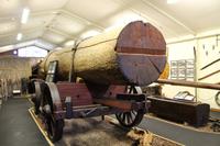 Darstellung des Transportes eines Kauris 