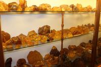 Bernstein-Ausstellung im Kauri-Museum 