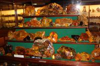 Bernstein-Ausstellung im Kauri-Museum