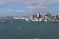 Skyline von Auckland