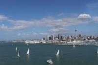 Skyline von Auckland 