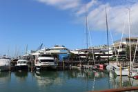 Auckland - Hafen 