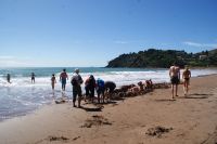 75 Hot Water Beach