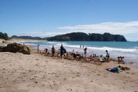 81 Hot Water Beach