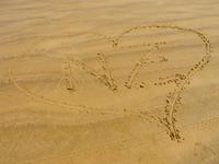 90 Mile Beach
