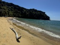 Abel Tasman 