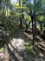 Abel Tasman 
