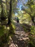 Abel Tasman 