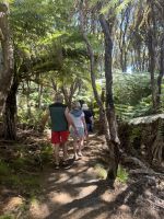 Abel Tasman 