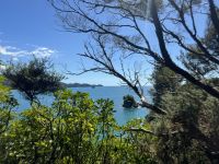 Abel Tasman 