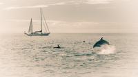 Abel Tasman Nationalpark