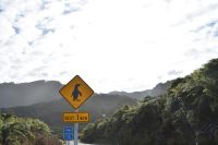 Achtung Kiwi Schild