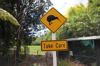 Achtung Kiwi