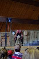 Agrodome