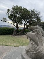 Akaroa