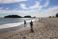 An der Bay of Plenty in Tauranga
